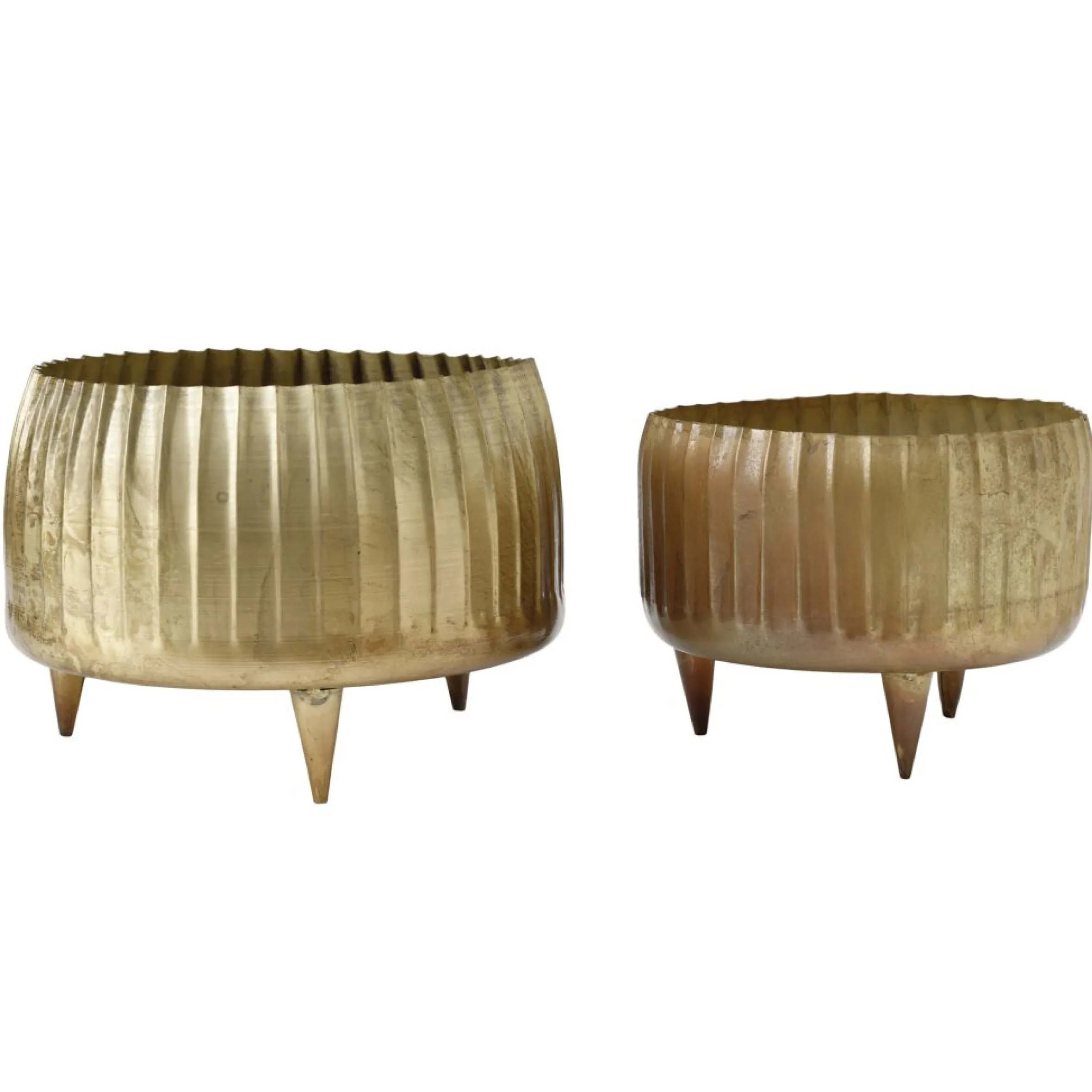 Übertopf Dekoschale XL Passion Gold Groß