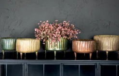 Übertopf Dekoschale XL Passion Gold Klein