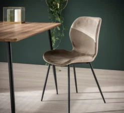 Essgruppe Baumkante Massiv Palu 130 + 4 Stühle Velvet Samt Champagner