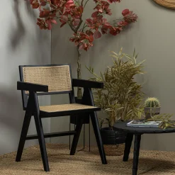 Esstischstuhl Esszimmerstuhl Armlehnstuhl Gunnar Rattan schwarz