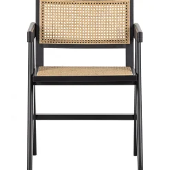 Esstischstuhl Esszimmerstuhl Armlehnstuhl Gunnar Rattan schwarz