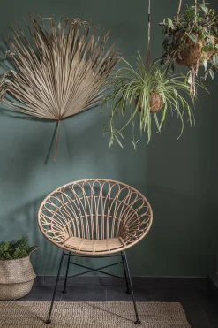 Rattansessel Hacienda PE-Rattan Peacock In/Outdoor Natur