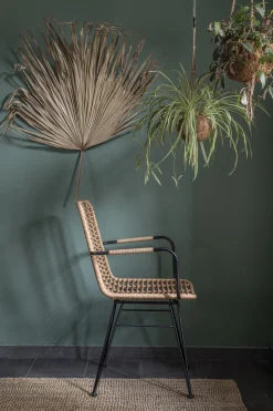 Rattanstuhl Esszimmerstuhl Hacienda Vela PE-Rattan Armlehne In/Outdoor Natur