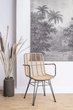 Rattanstuhl Esszimmerstuhl Hacienda Vela PE-Rattan Armlehne In/Outdoor Natur