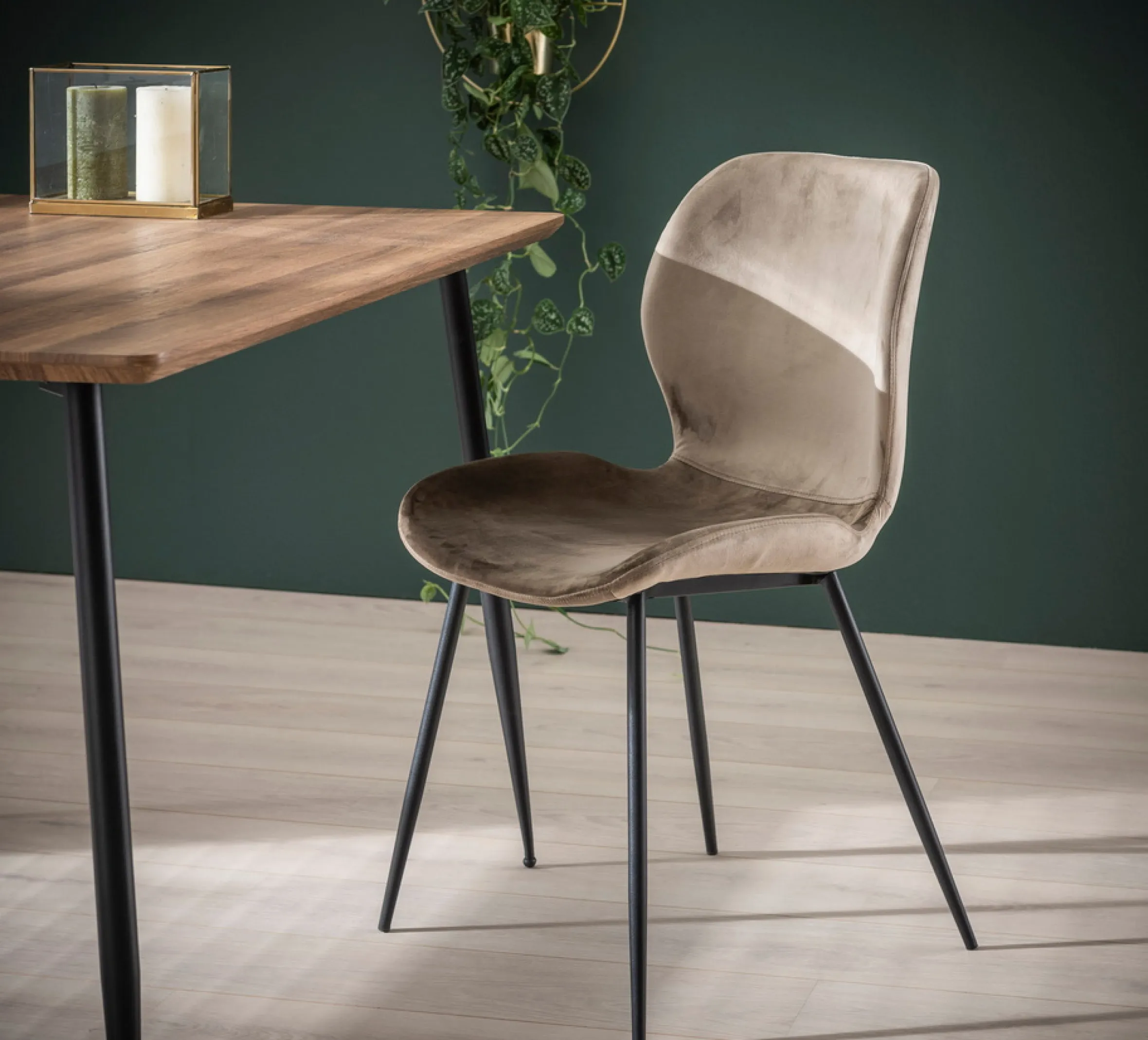 Retro Esszimmerstuhl Velvet Samt Champagner