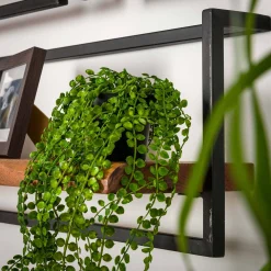 Set Wandregal Akazie Baumkante Edge Metall Groß