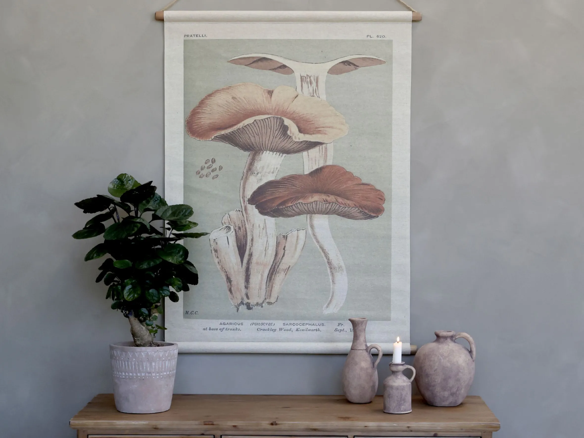 Vintage Leinwandbild Pilze Französischer Floradruck 97/76 cm