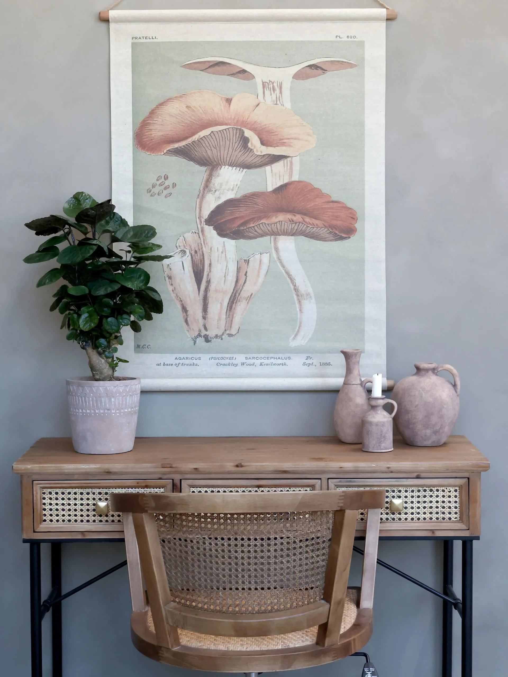 Vintage Leinwandbild Pilze Französischer Floradruck 97/76 cm