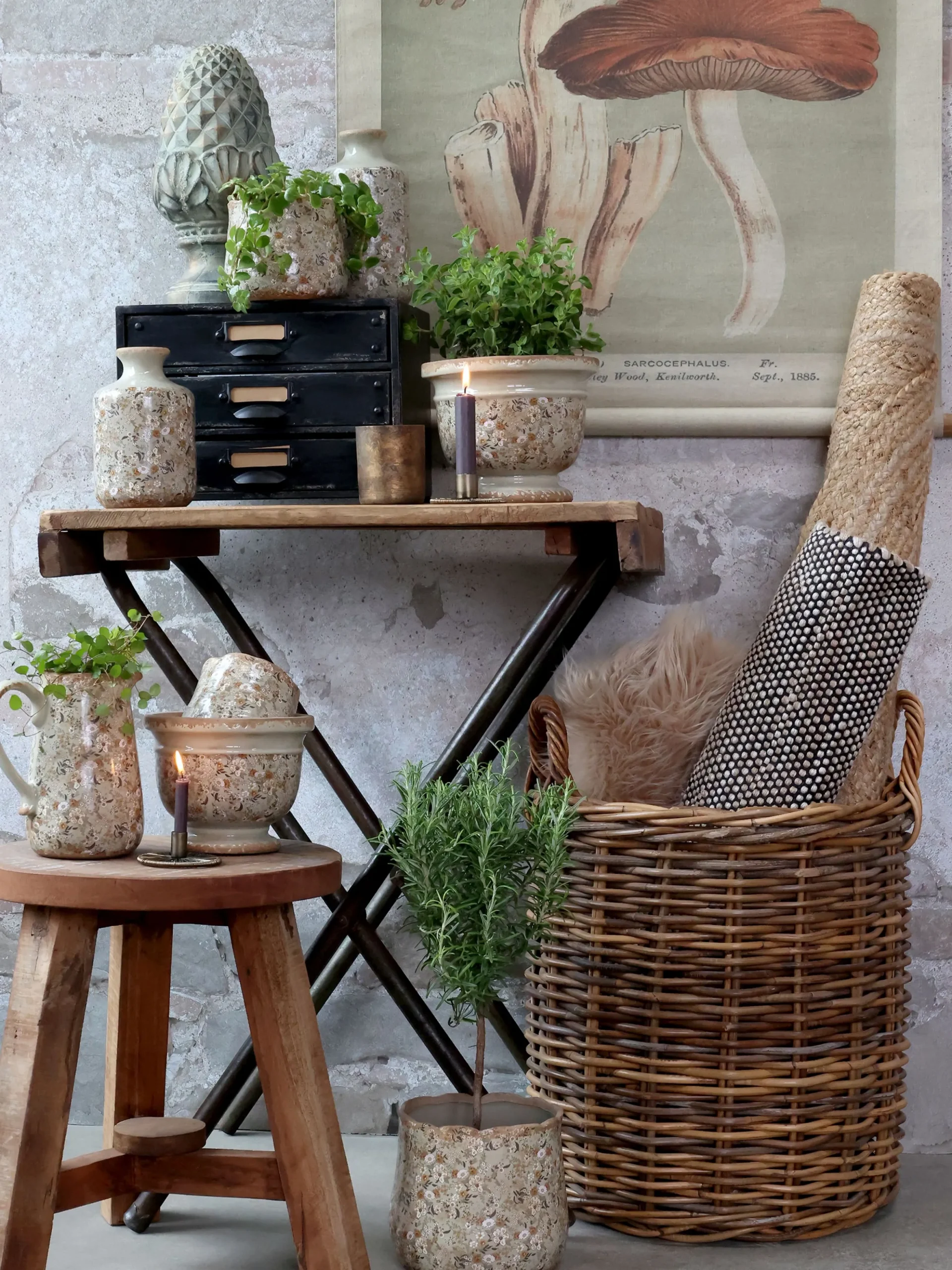 Vintage Leinwandbild Pilze Französischer Floradruck 97/76 cm