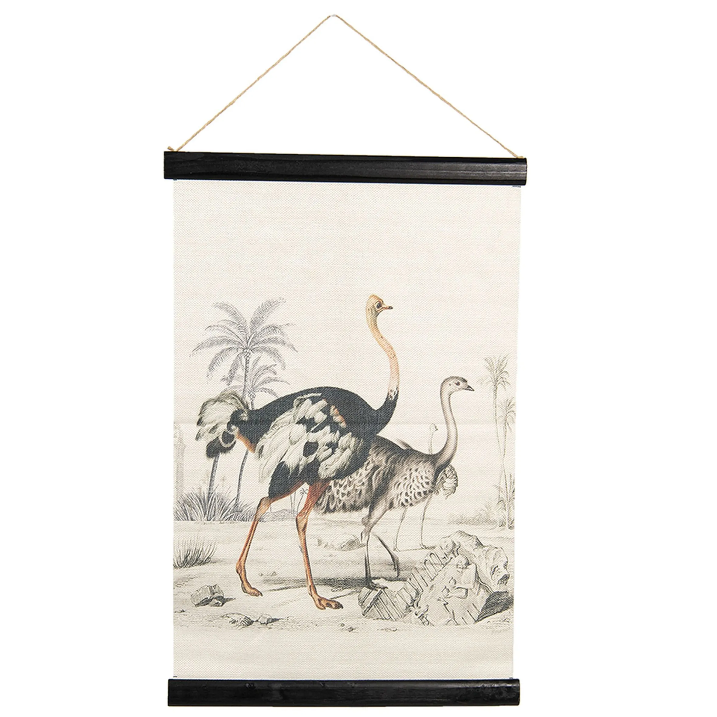 Vintage Leinwandbild Vogel Strauß Faunadruck 60/40 cm